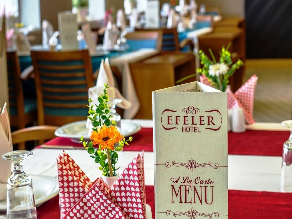 Efeler Hotel Aydın